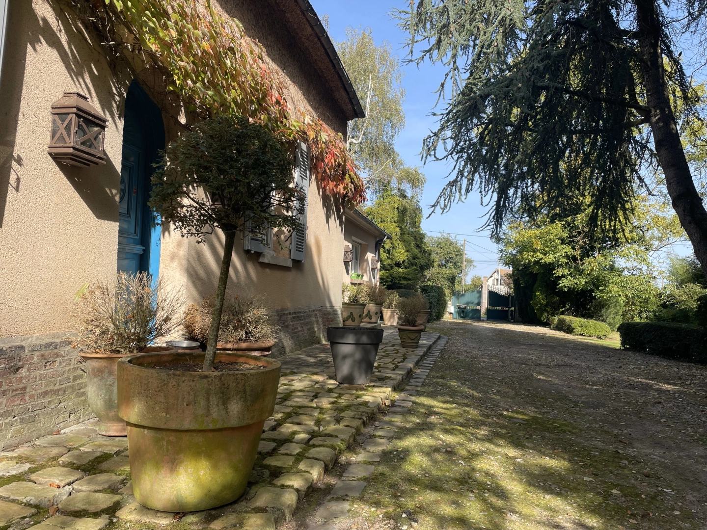 property